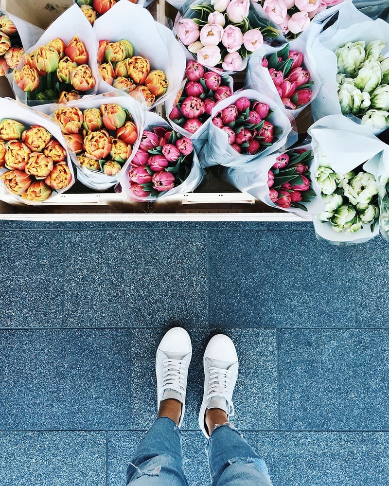 Colorful Flower Displays